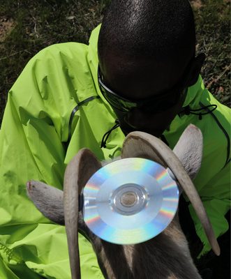 Foto dell'artista Sam Austins